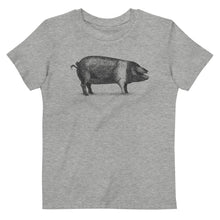 Load image into Gallery viewer, Organic cotton kids t-shirt